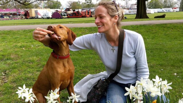 Il cucciolo di cane dimostra cosa significa davvero essere resistenti e abbraccia una seconda possibilità di vita