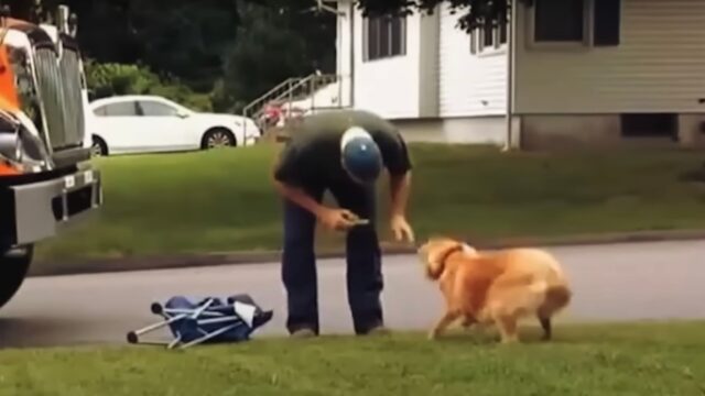 L’uomo crede di non essere ripreso: quello che fa al cane lascia tutti senza fiato – Video