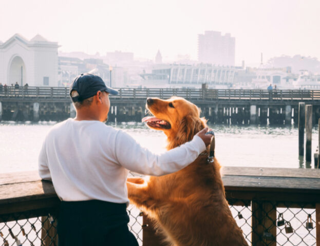 Uno studio spiega che il legame cerebrale tra padrone e cane si rafforza ogni momento di più