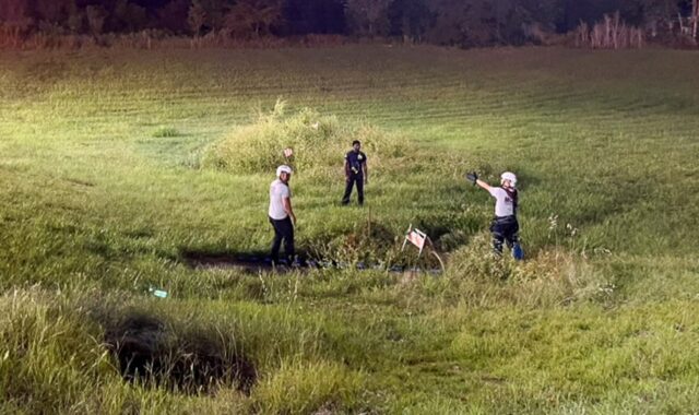 Cane intrappolato in una buca profonda in Florida salvato dai soccorritori