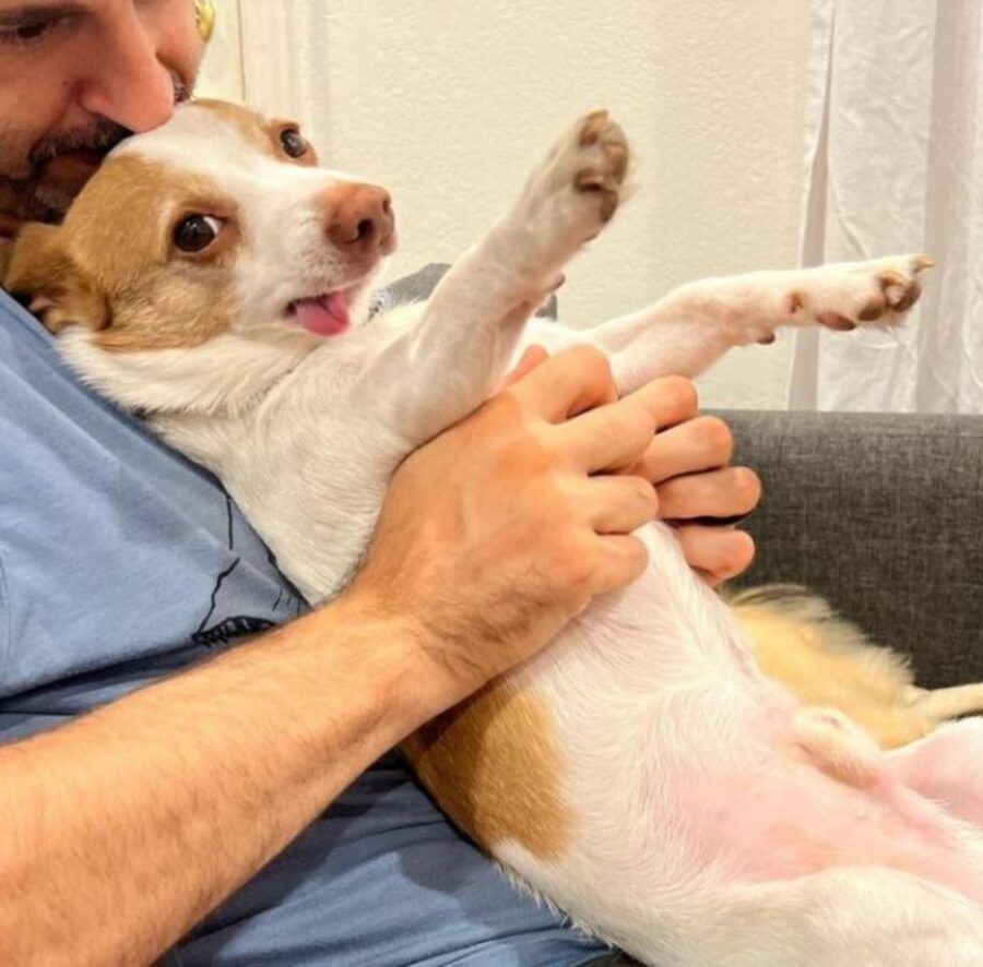 un cane con il suo papà adottivo