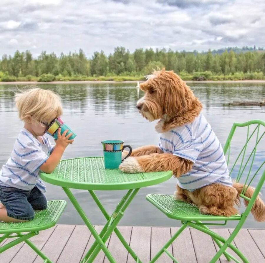 un cane e un bambino