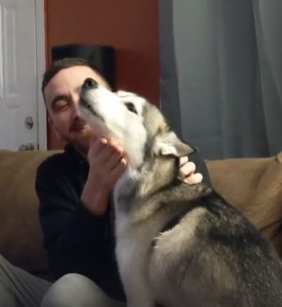 un uomo con un husky