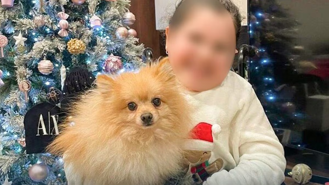 Cane della ragazzina con disabilità