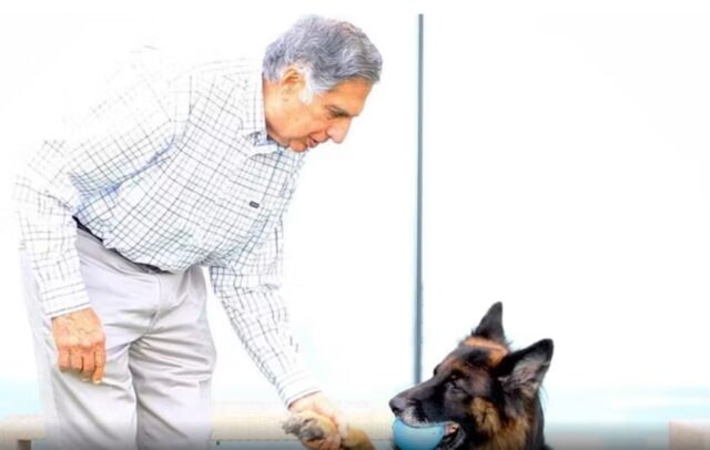 Magnate indiano lascia l’eredità al cane Tito: la decisione di Ratan Tata