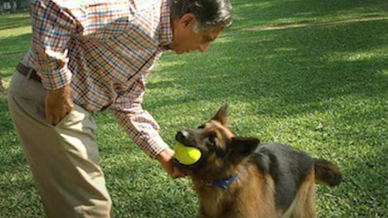 Magnate indiano con il cane