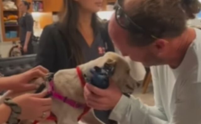 Dopo essere scomparso per 69 giorni questo cane si riunisce al papà in modo super commovente (VIDEO)