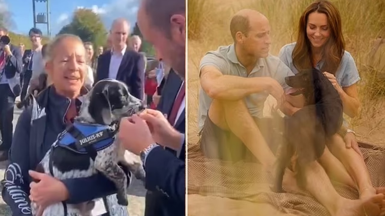 William e Kate con il cane Orla