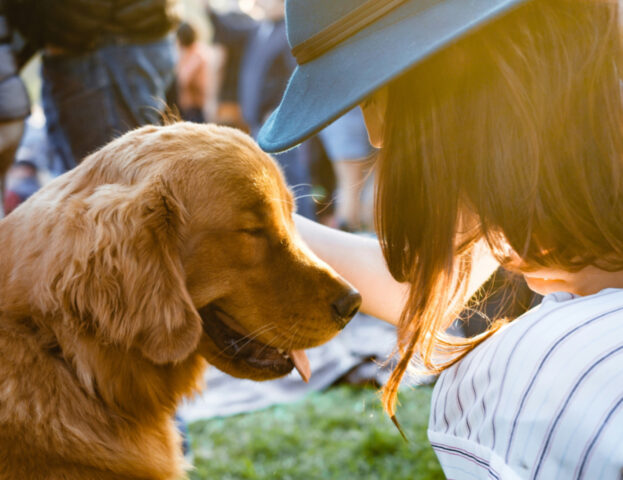 C’è un nuovo studio che rivela chi vizia di più i cani fra uomini e donne