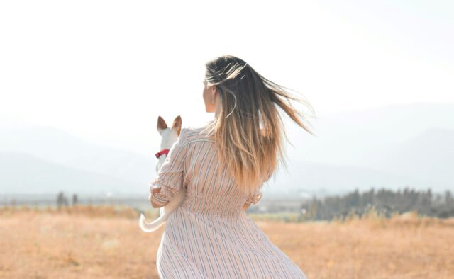 Dopo aver trovato il cane la donna manda una lettera al marito: “Grazie per il divorzio”