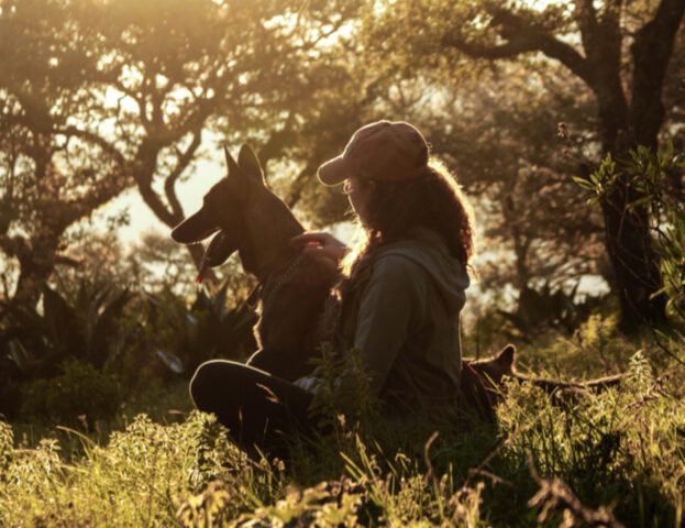 È strano, ma può capitare: cosa significa se sogni di partorire dei cani?