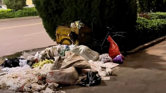 Esausto, il cucciolo di cane cercava la sua mamma: aveva bisogno di qualcuno che lo sfamasse – Video