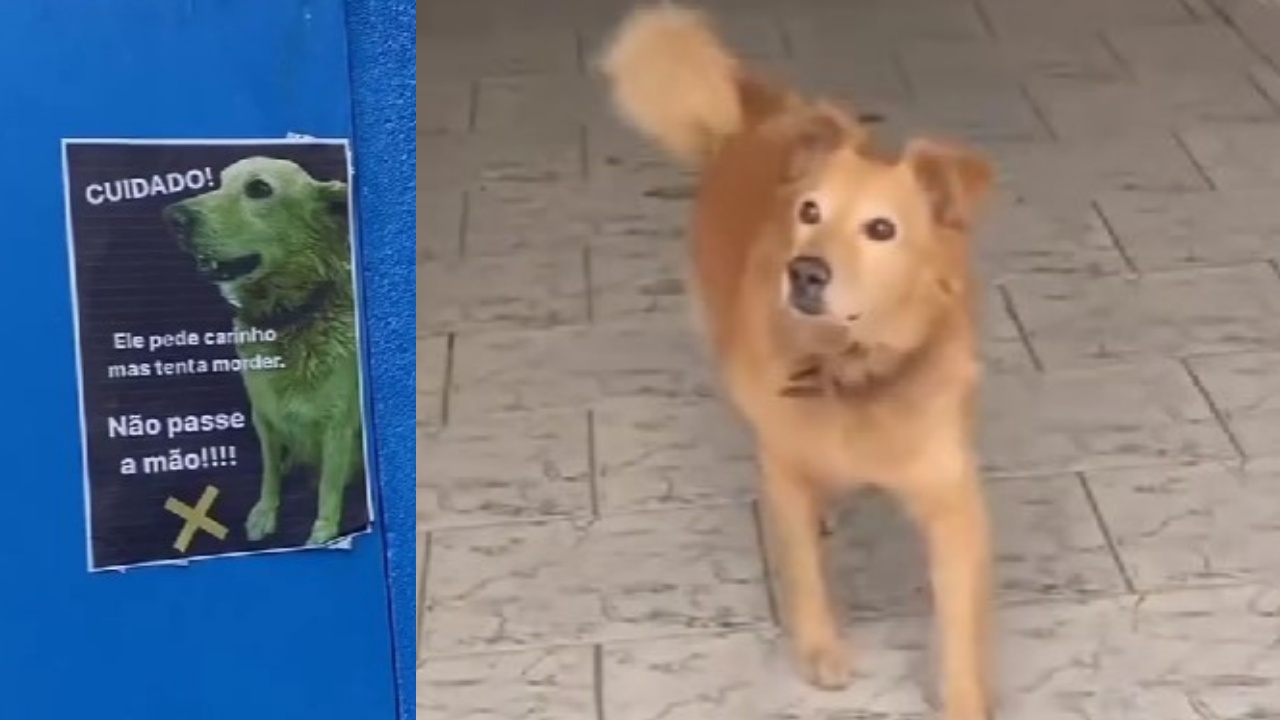 cartello di attenti al cane