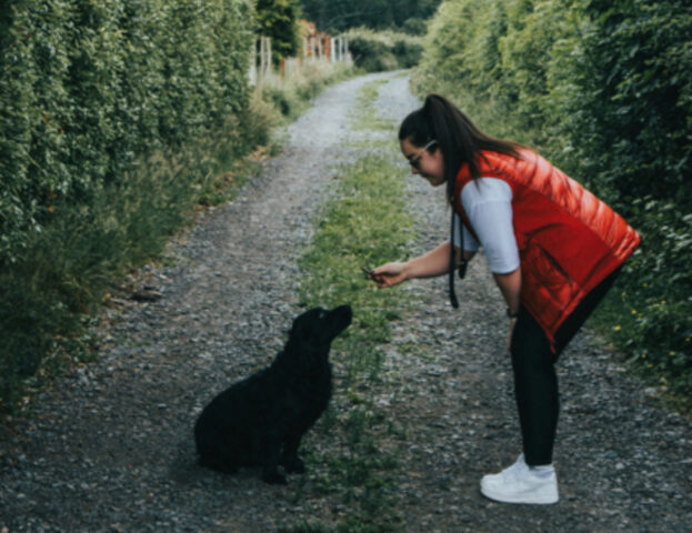 Questi sono 6 errori comuni che tutti (sì, proprio tutti) i padroni di cani fanno almeno una volta