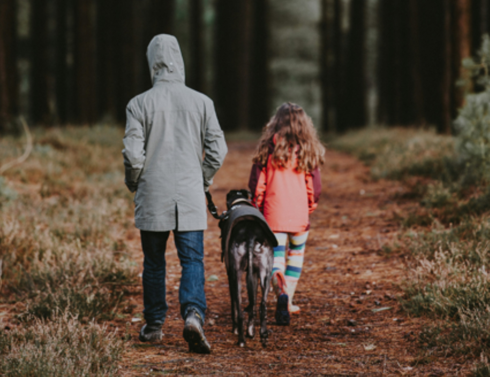 Cane e bambini