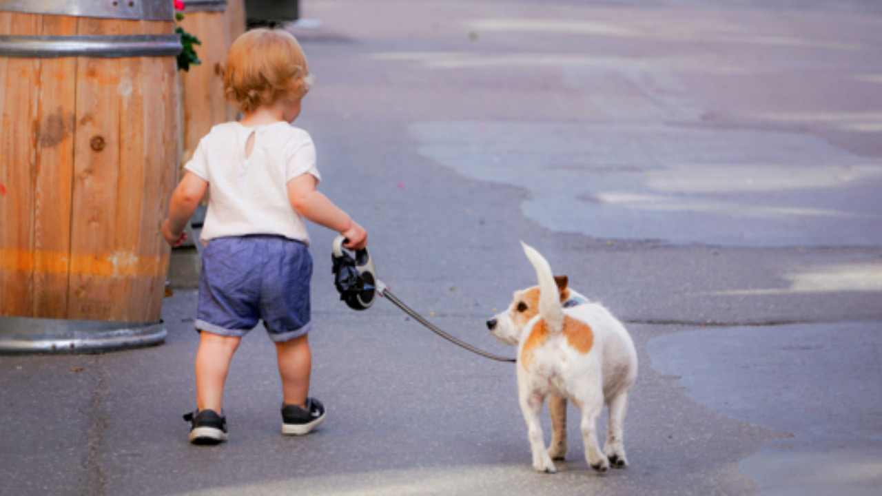 Cane e bambino