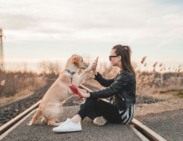 Un nuovo studio rivela dettagli commoventi su quanto le persone possano amare i propri cani