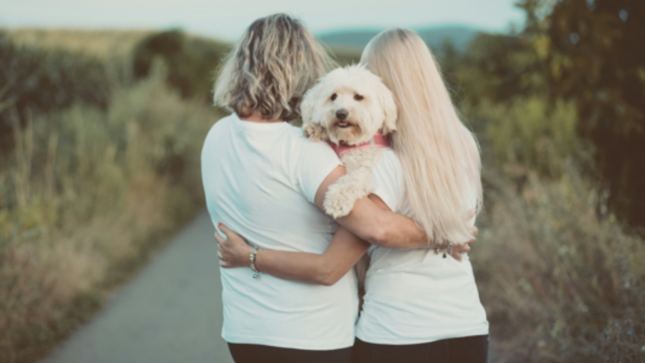 Umani coccolano il cane