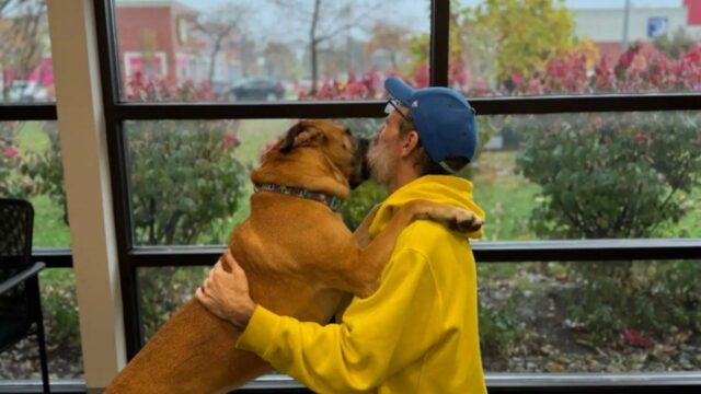 Si era ammalato di cancro e aveva dovuto abbandonarlo: sopravvive e corre subito dal cane, riabbracciandolo