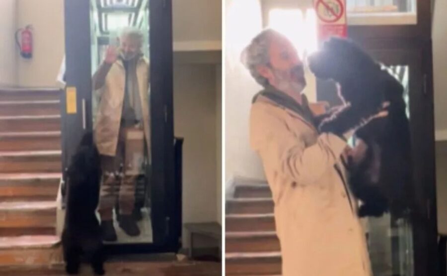 L’uomo che non aveva mai avuto un animale domestico prende un cane: “Adesso ho capito tutto”