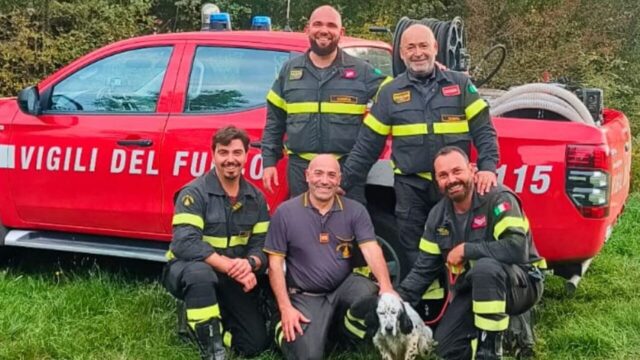 Cane da caccia caduto nel dirupo: i Vigili del Fuoco lo recuperano