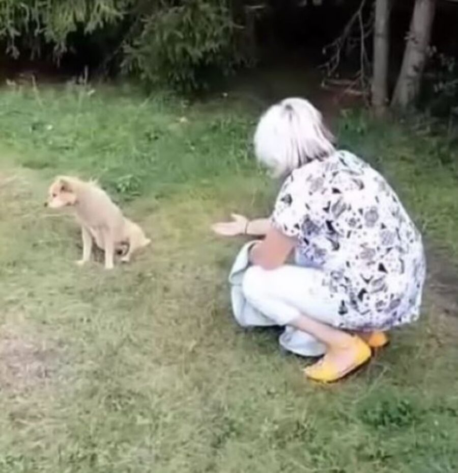 una donna chiama un cane