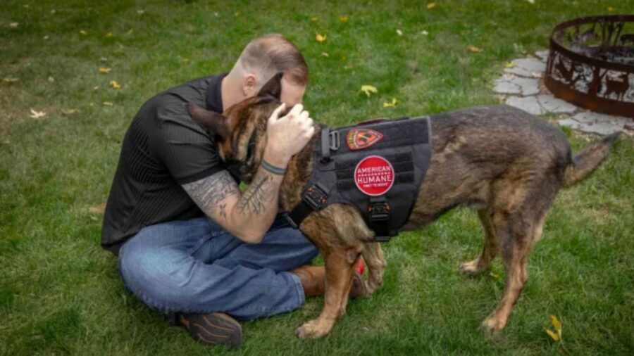 uomo e cane sul prato