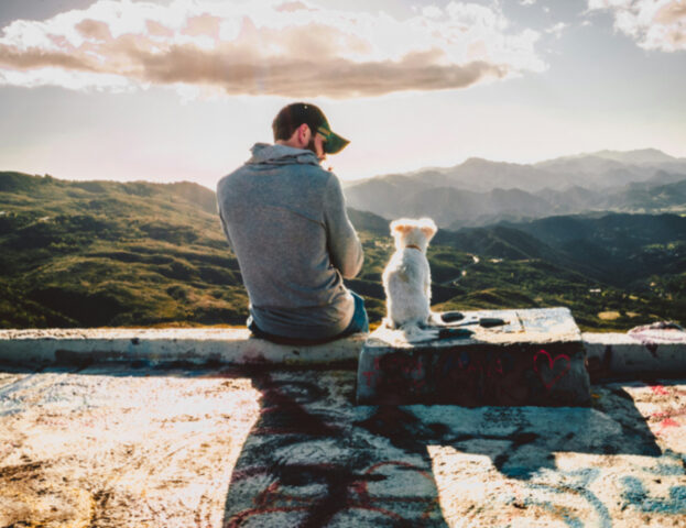 E tu metteresti fine alla tua relazione sentimentale se al partner non piacesse il tuo cane?