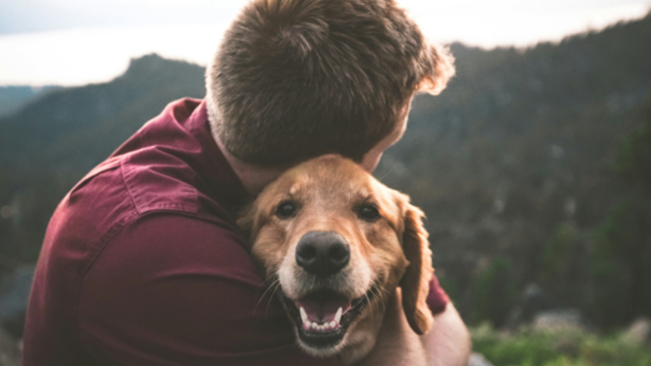 Cane abbraccia l’uomo