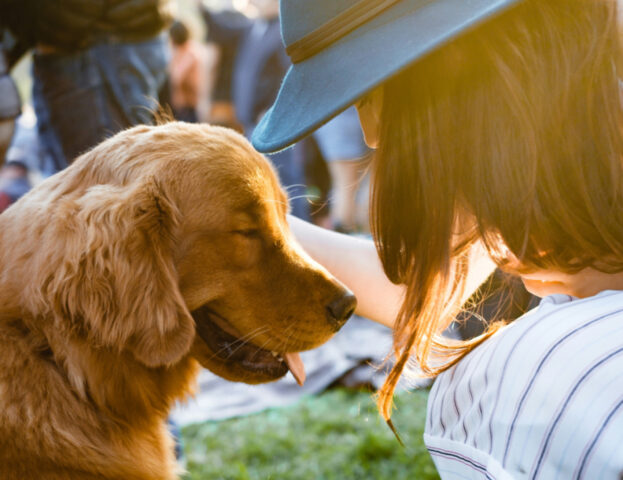 Le 5 frasi più belle in assoluto sulla fedeltà del cane, che hai proprio bisogno di sentire