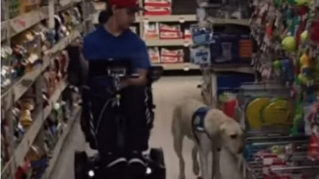 L’uomo decide di fare un gesto adorabile per il suo cane da assistenza: una sessione di shopping