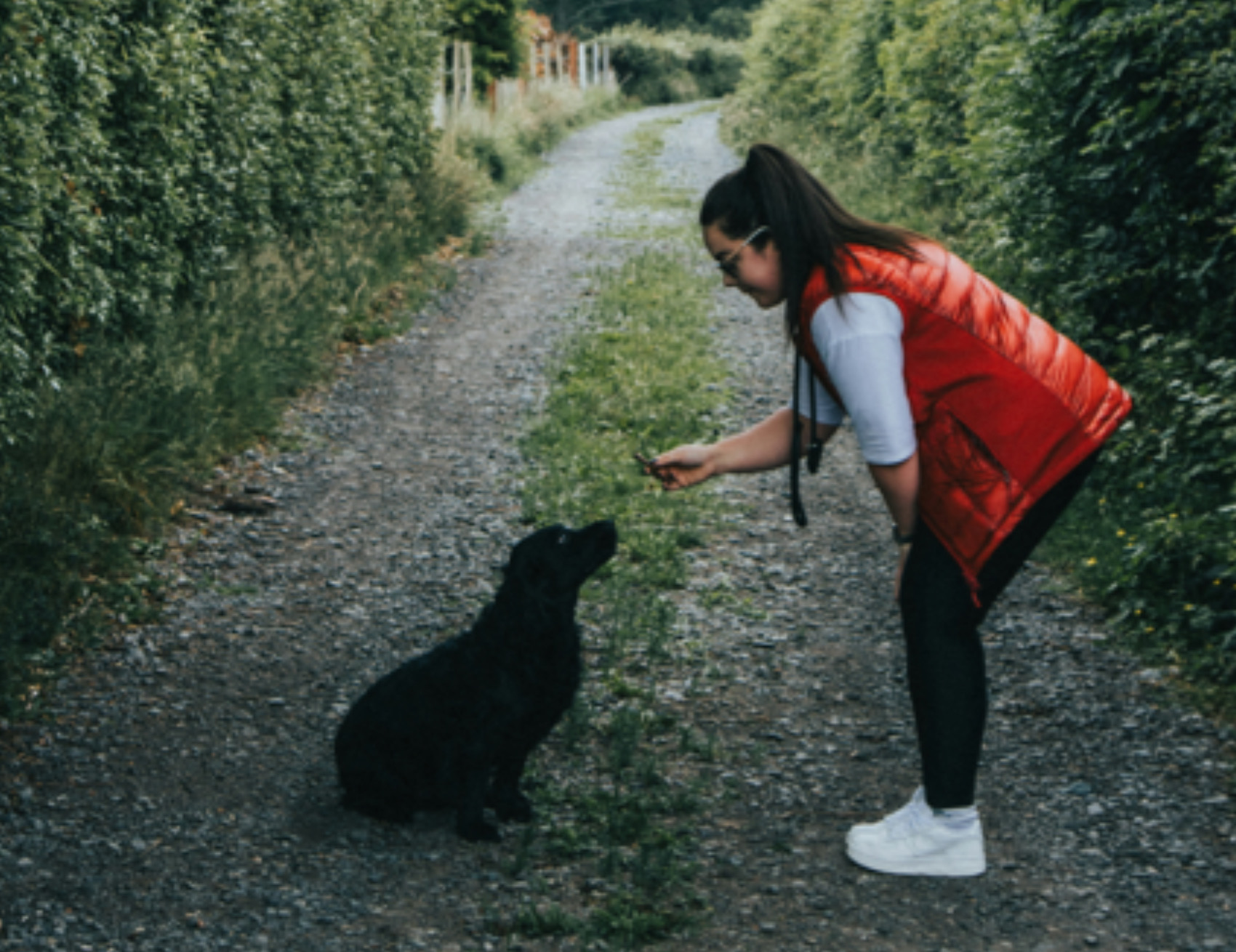 Cane e donna