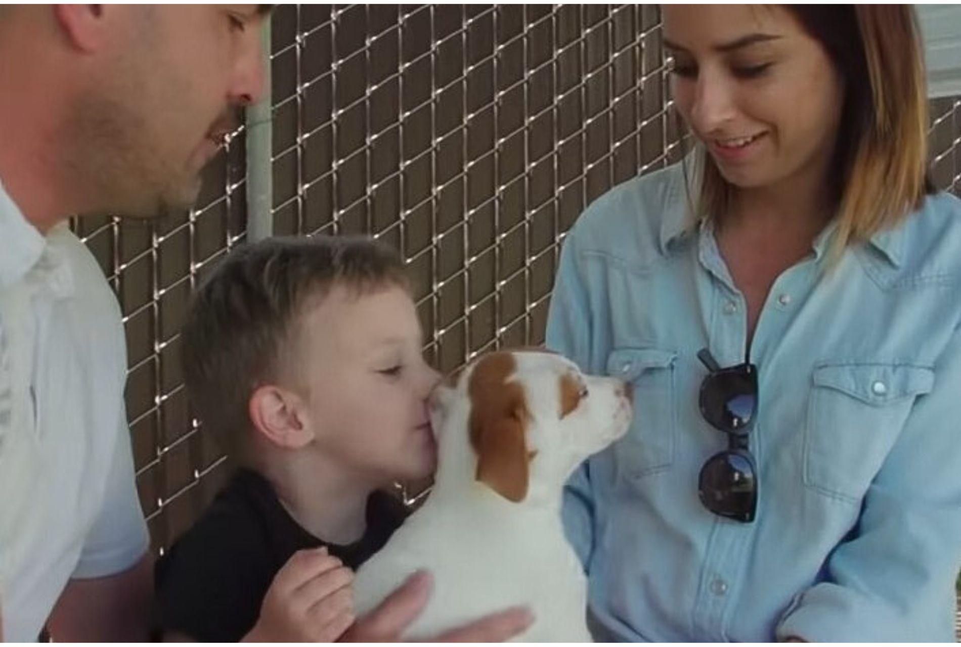 cagnolina con bambini