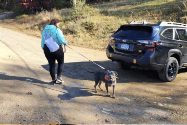 La donna si è commossa quando ha visto un cane del rifugio indossare uno specifico accessorio