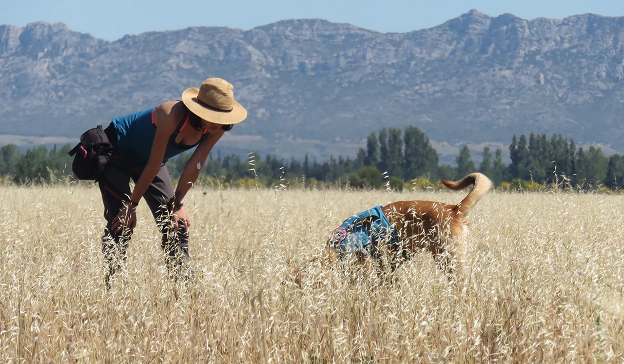 Proprietaria e cane nel campo