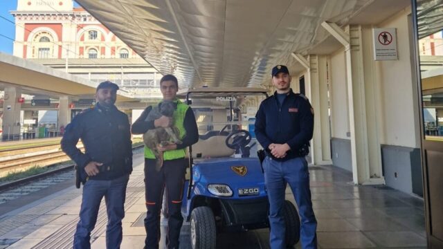 Cane sui binari di Porta Nuova a Torino: agenti lo salvano in stazione