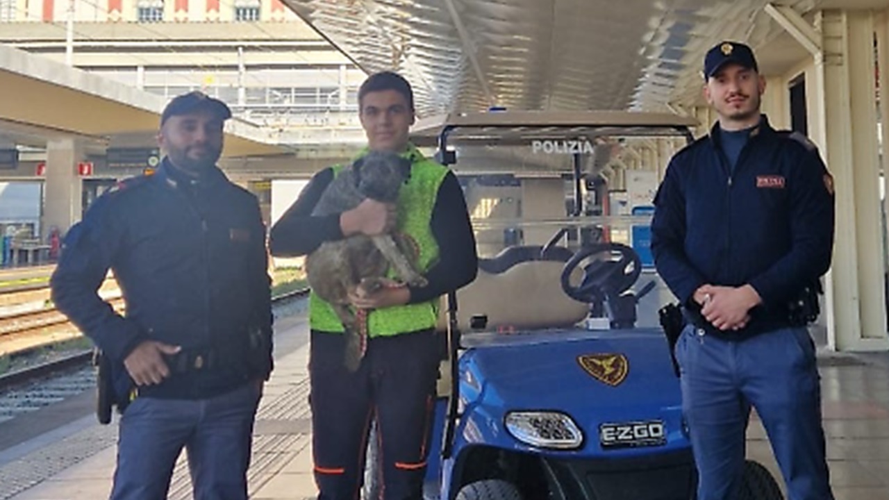 Cane a Porta Nuova a Torino