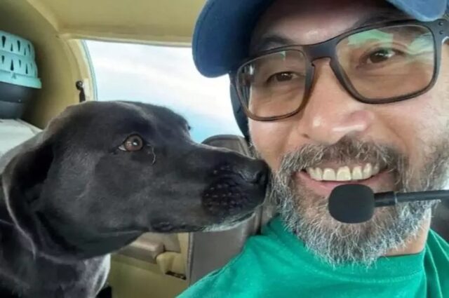 Eroe dei cani perde la vita in volo: con lui a bordo c’erano tre animali