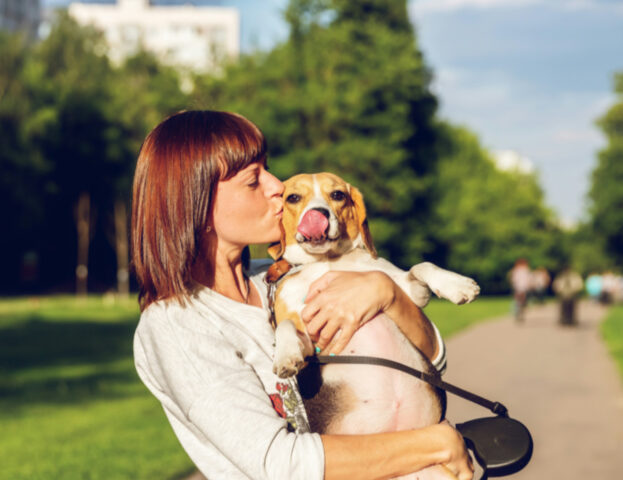 C’è un modo comune con cui dimostriamo affetto ai nostri cani, ma può essere rischioso per la salute