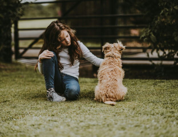 Cosa fa un cane da pet therapy?