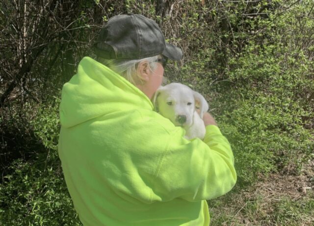 Gli spazzini hanno toccato il “peluche a forma di cane” e sono rimasti di stucco,”È vivo”