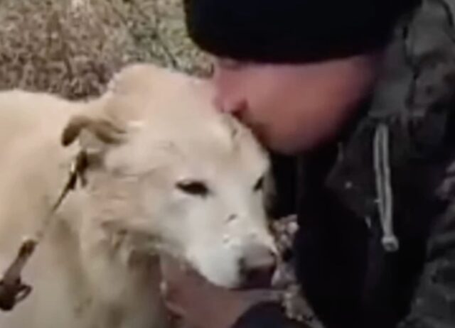 L’uomo salva il cane da una palude, ma non immaginava cosa sarebbe successo dopo