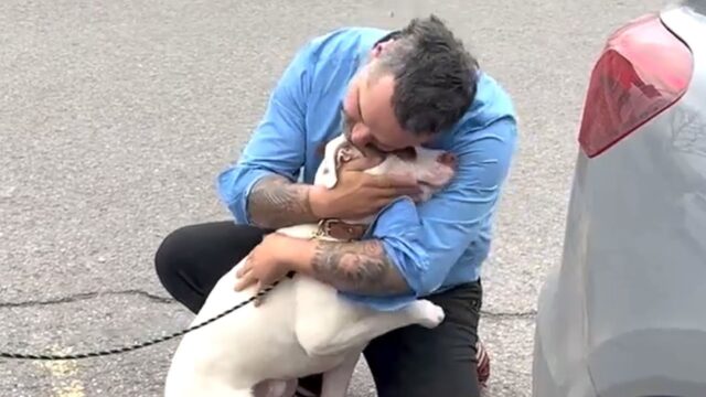 L’uomo scopre che il cane che ha adottato è di qualcun altro, ma la sua risposta è speciale – Video