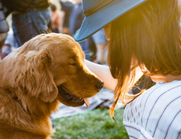 Questo è quello che devi davvero sapere se hai trovato dei noduli sul tuo cane