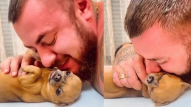 L’uomo decide di mostrare a tutti l’adorabile e speciale legame che ha con il suo amato Chihuahua