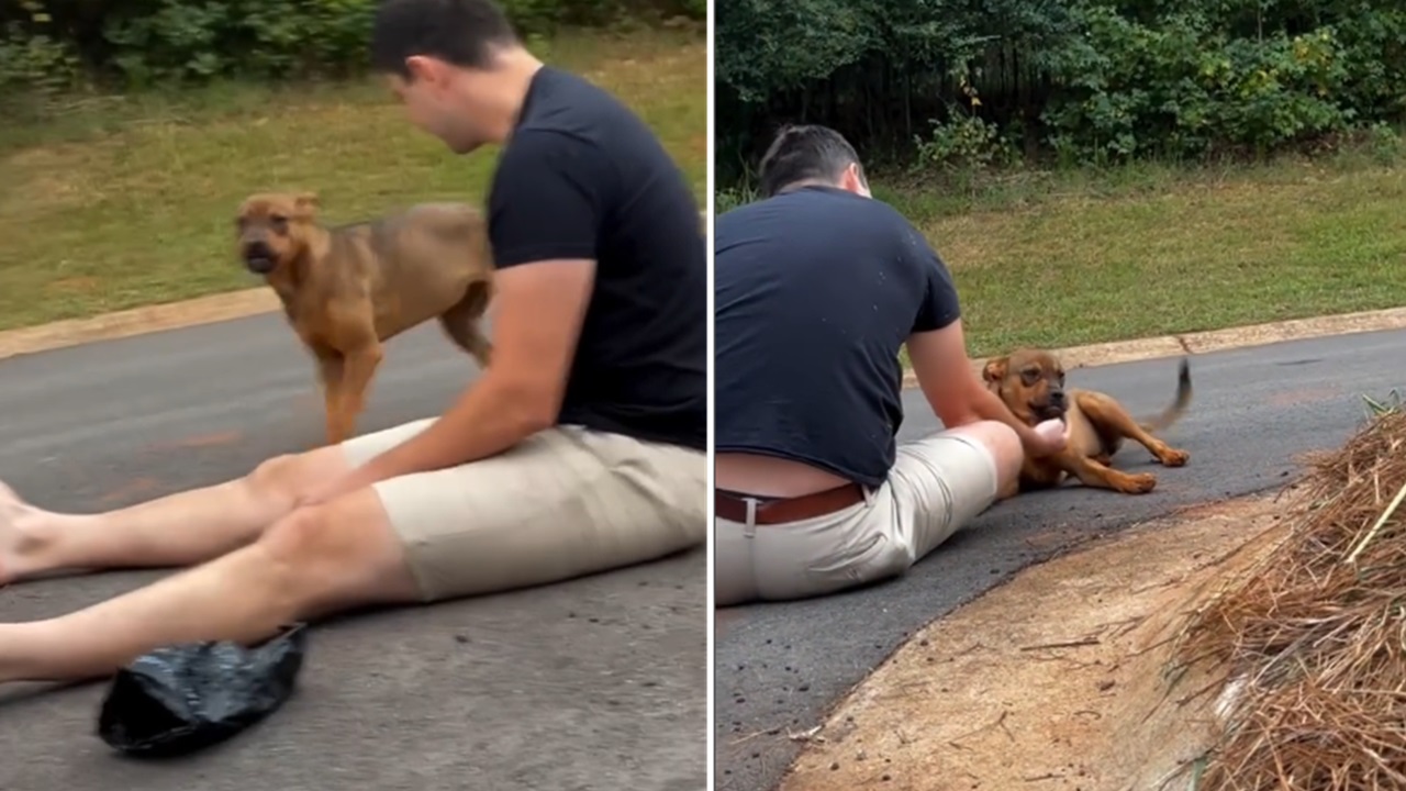 Uomo in strada con un cane