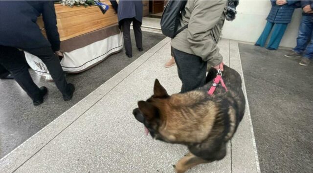 Cane veglia il proprietario all’obitorio: tutti si sono commossi