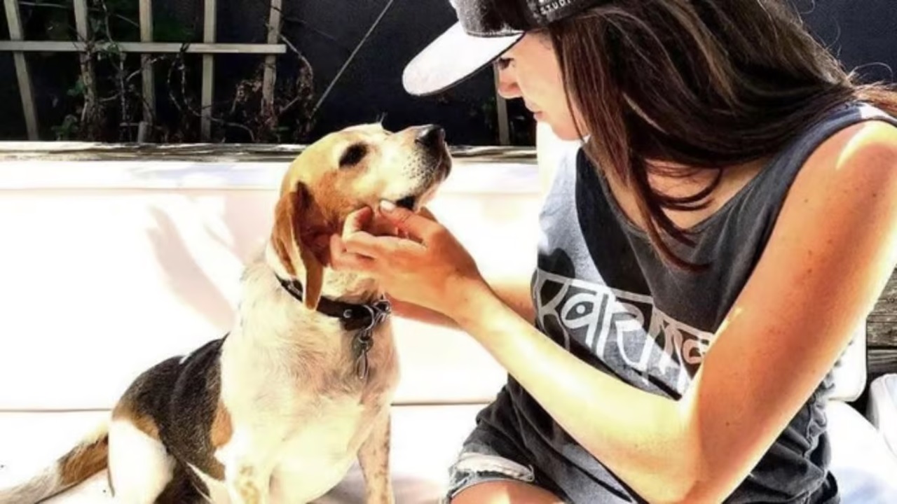 Meghan Markle accarezza il Beagle