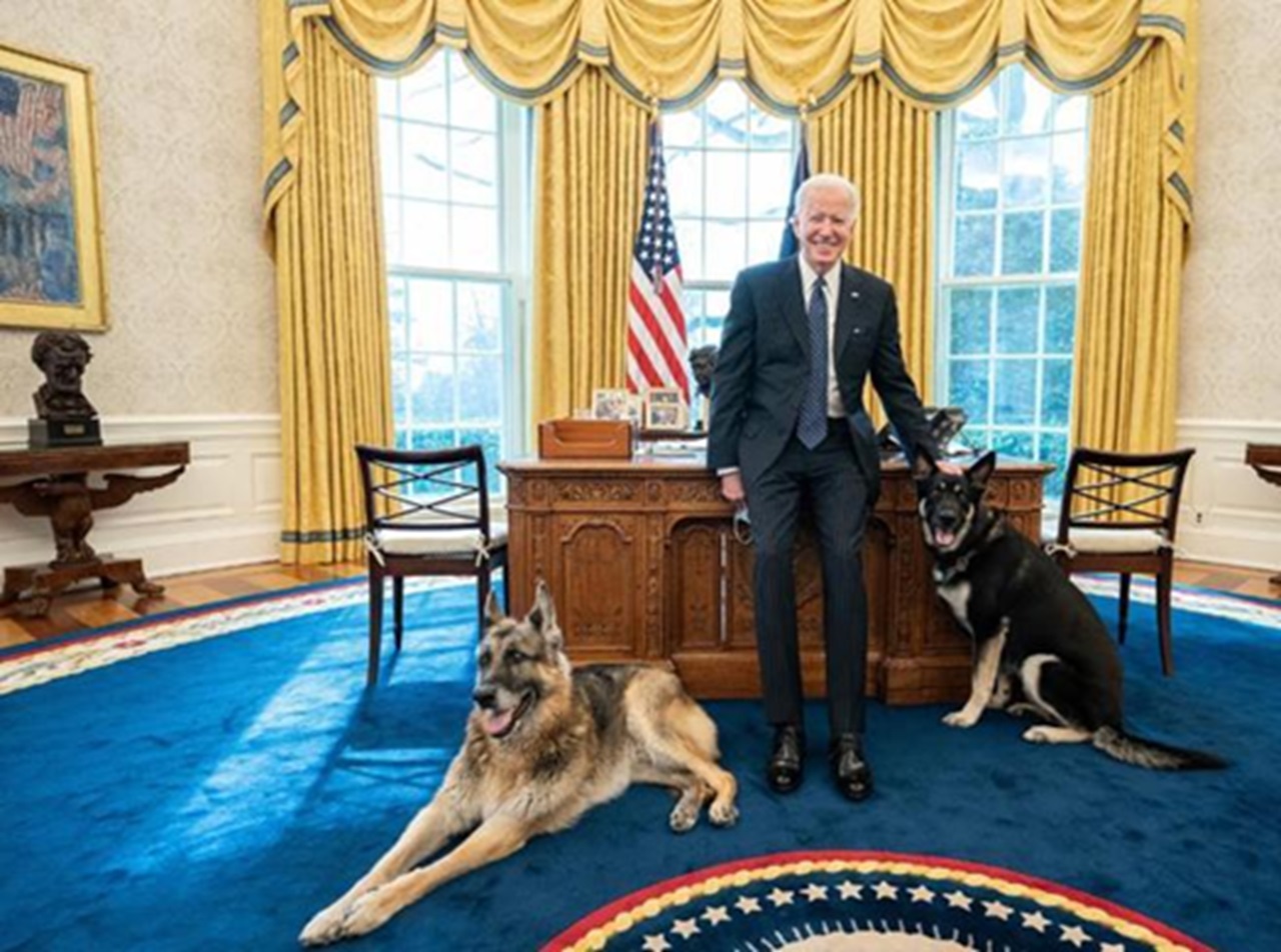 Biden e i cani