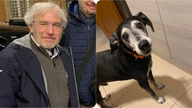 Proprietario scompare con il suo cane: dopo un giorno li hanno ritrovati senza vita